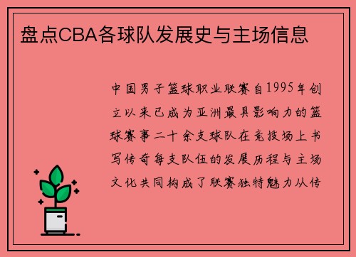盘点CBA各球队发展史与主场信息